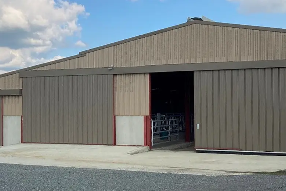 Stabulation - EARL VINCENT (71)