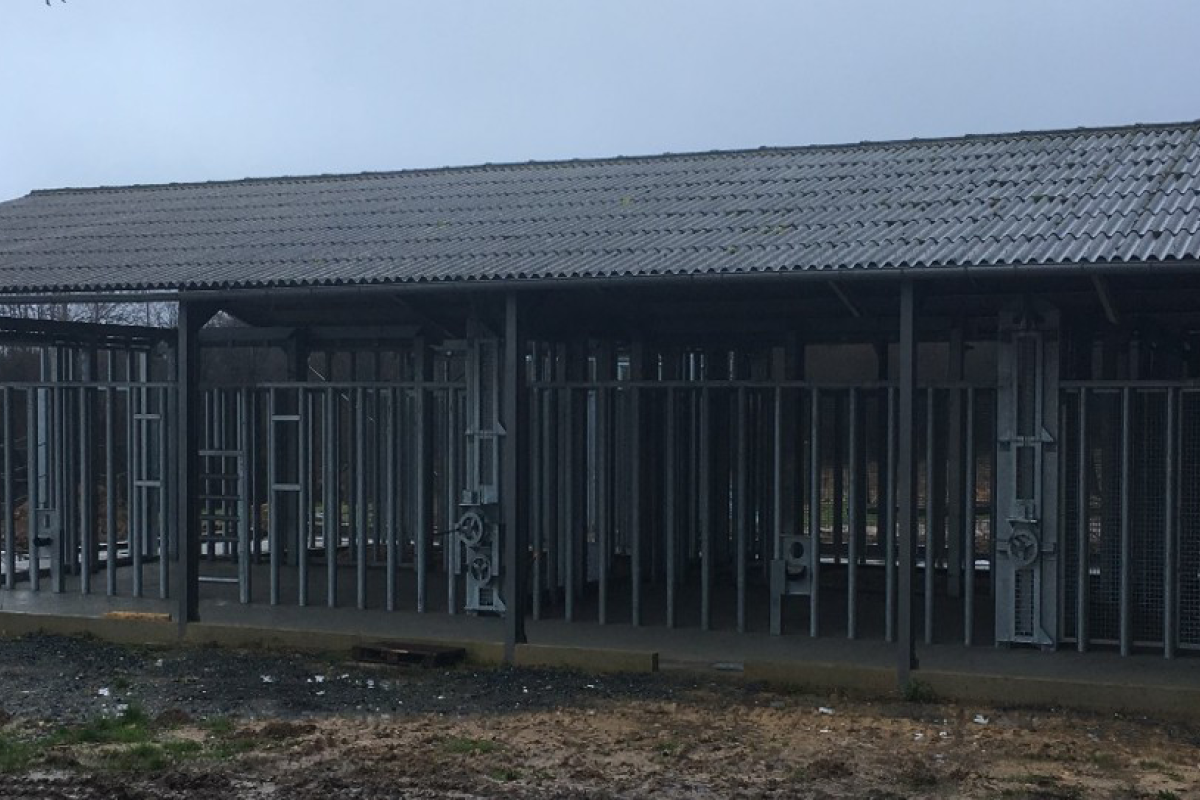 Eléphanterie - HELEPHANT HAVEN (87)