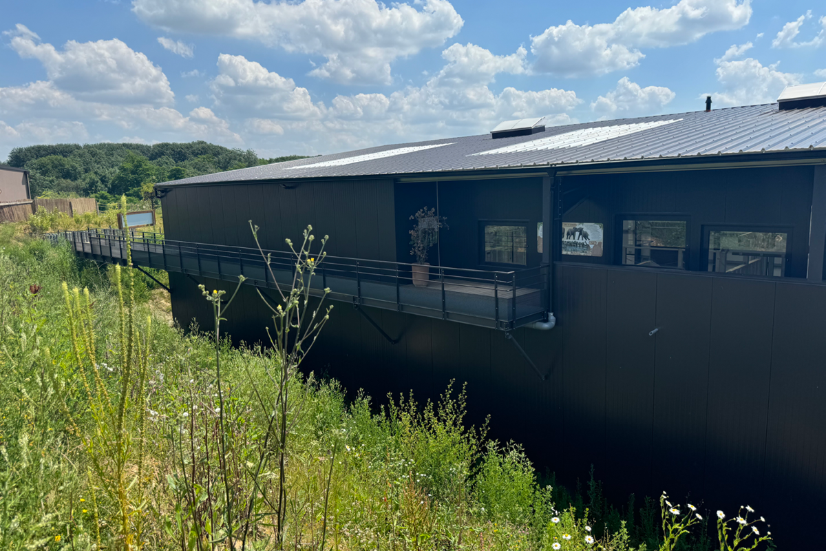 Eléphanterie - Thoiry Zoo Safari (78)