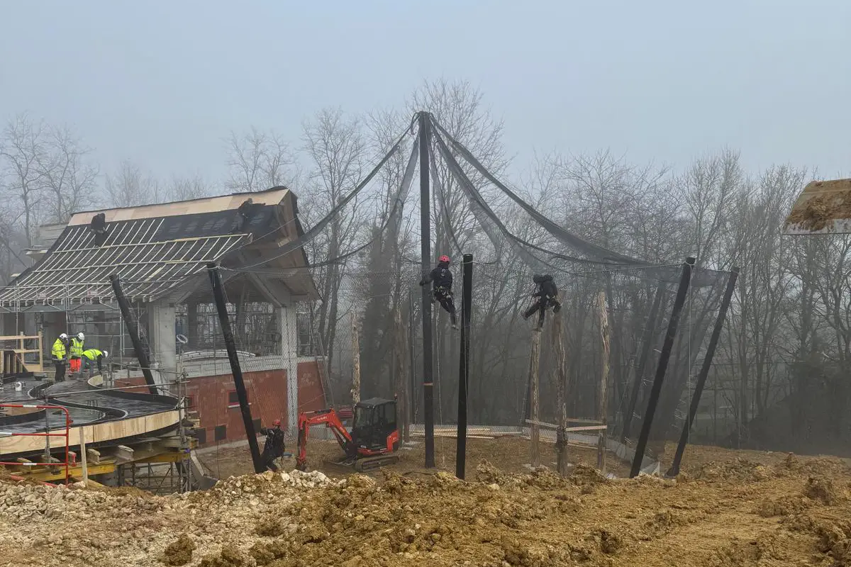 Volière Singes dorés - Zooparc de Beauval (41)