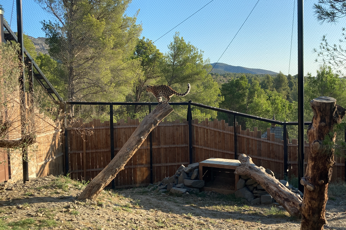 Volière Panthère de l'amour - Ecozonia (66)