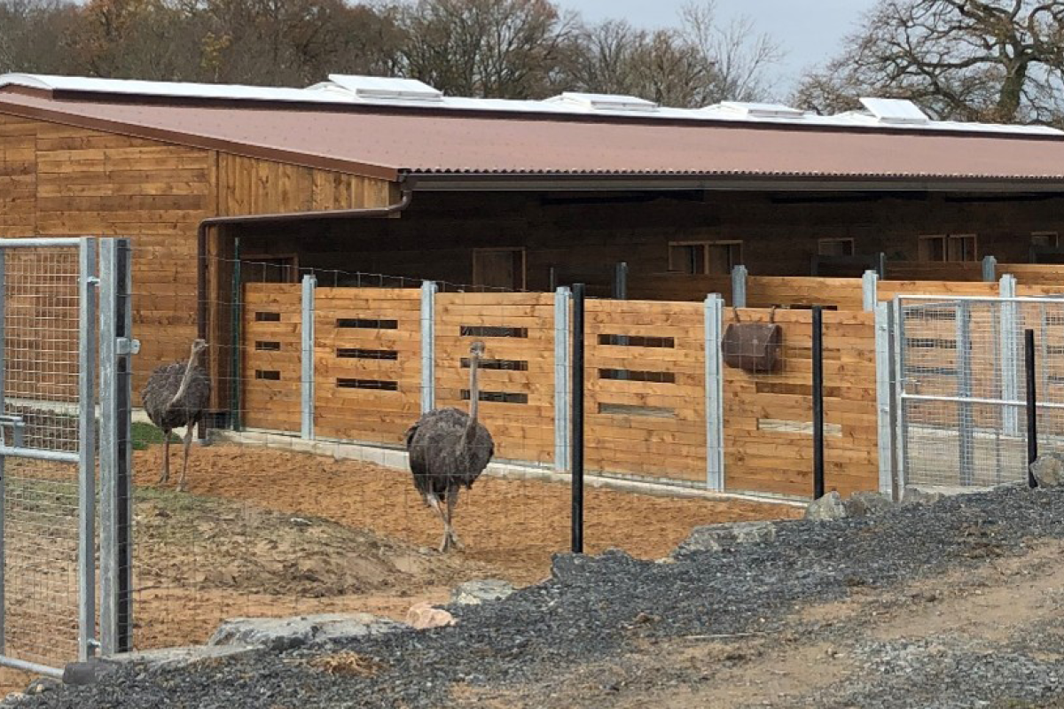 Bâtiment Herbivores - Le PAL (03)