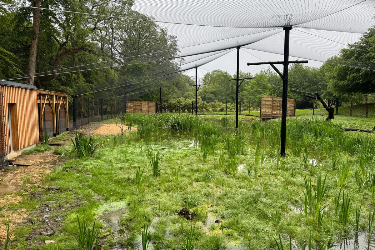 Volière - Parc de Branféré (56)