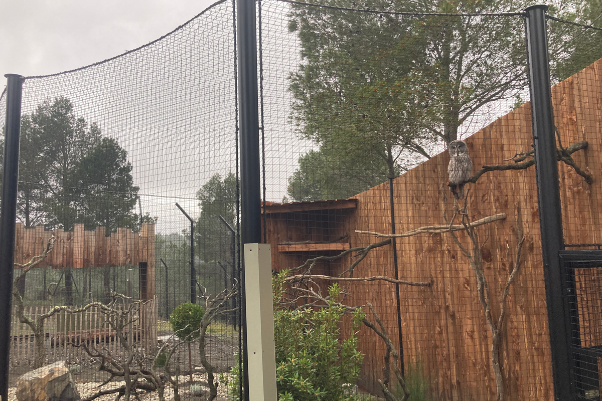 Volière Laponne - Ecozonia (66)