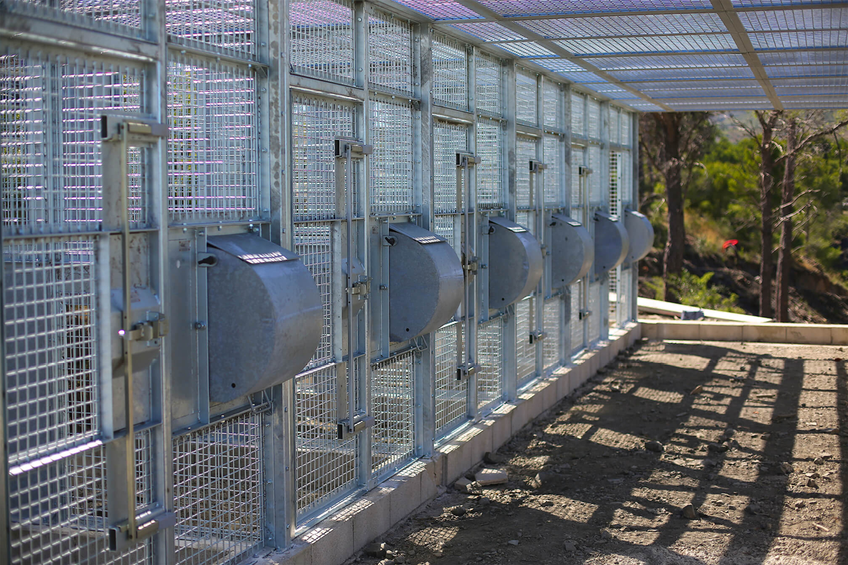 Installation Lynx - Ecozonia (66)