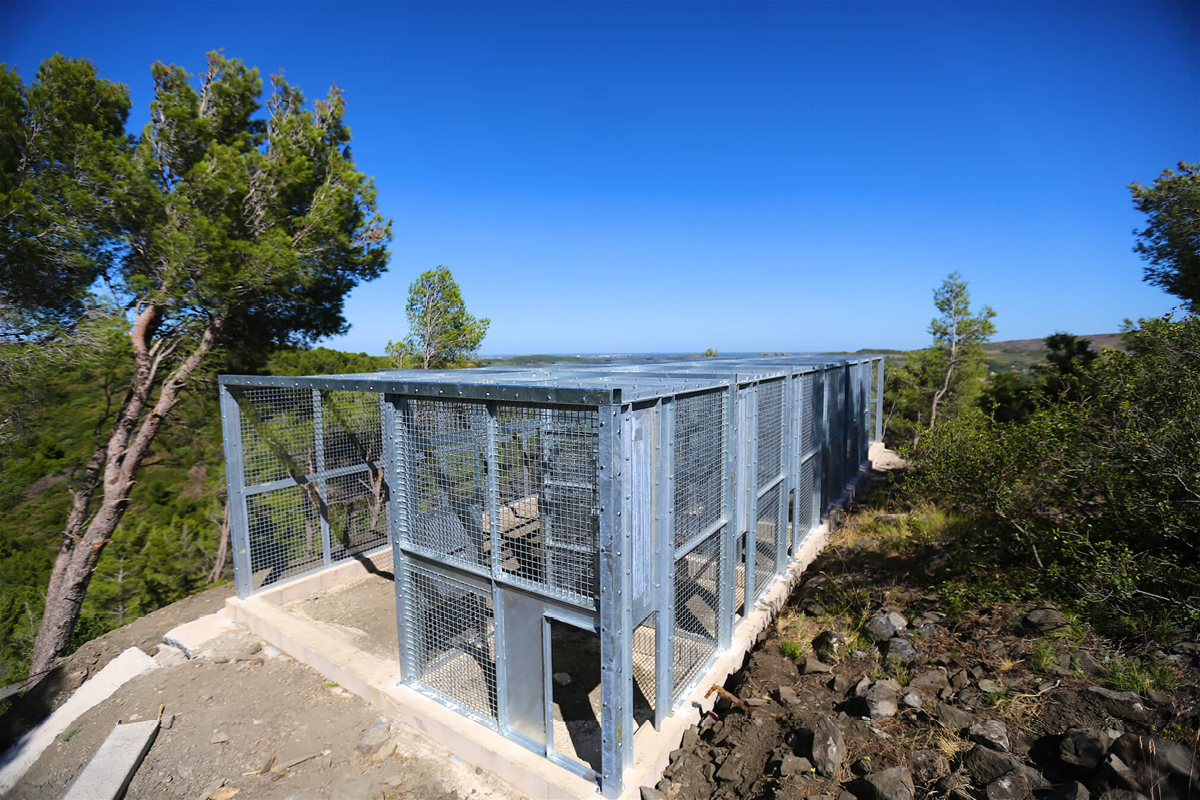 Installation Lynx - Ecozonia (66)