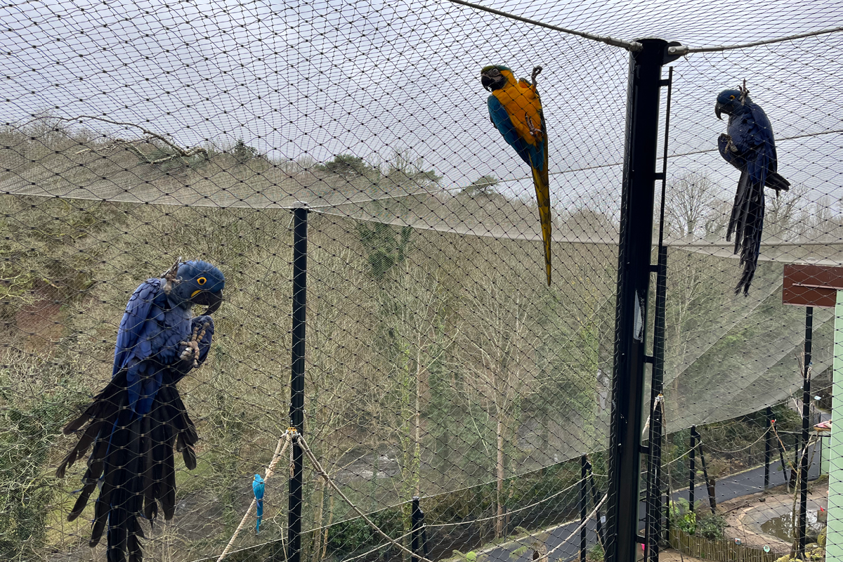 Volière - Les Terres de Nataé
